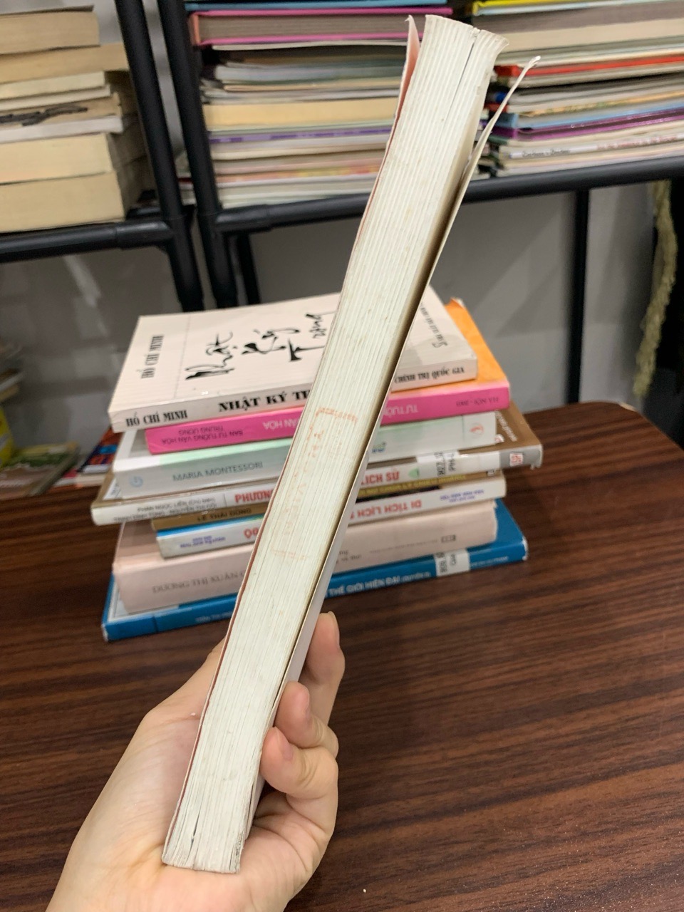 Nhập môn Sử học – Phan Ngọc Liên (chủ biên)