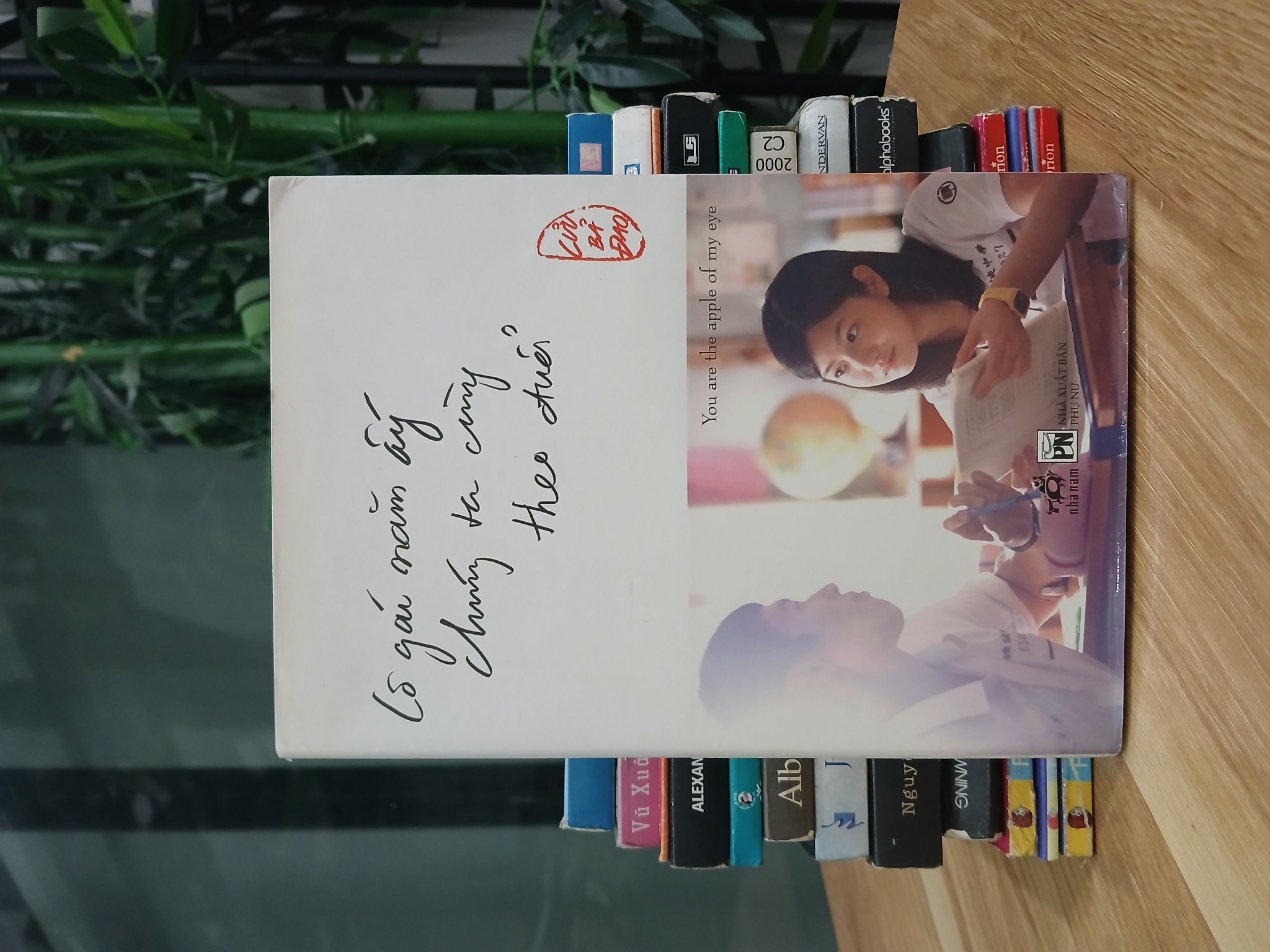 Cô gái năm ấy chúng ta cùng theo đuổi – Cửu Bả Đao