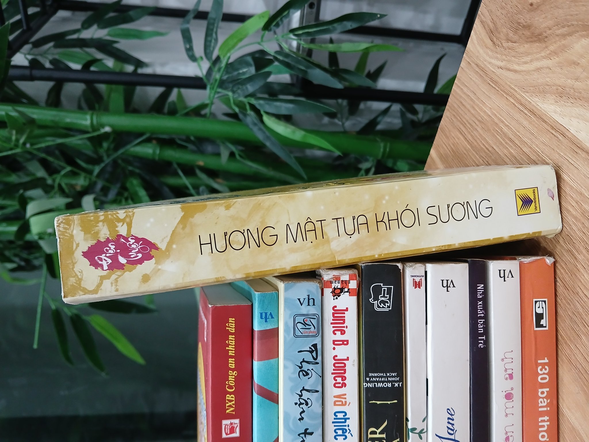 Hương mật tựa khói sương – Điện Tuyến