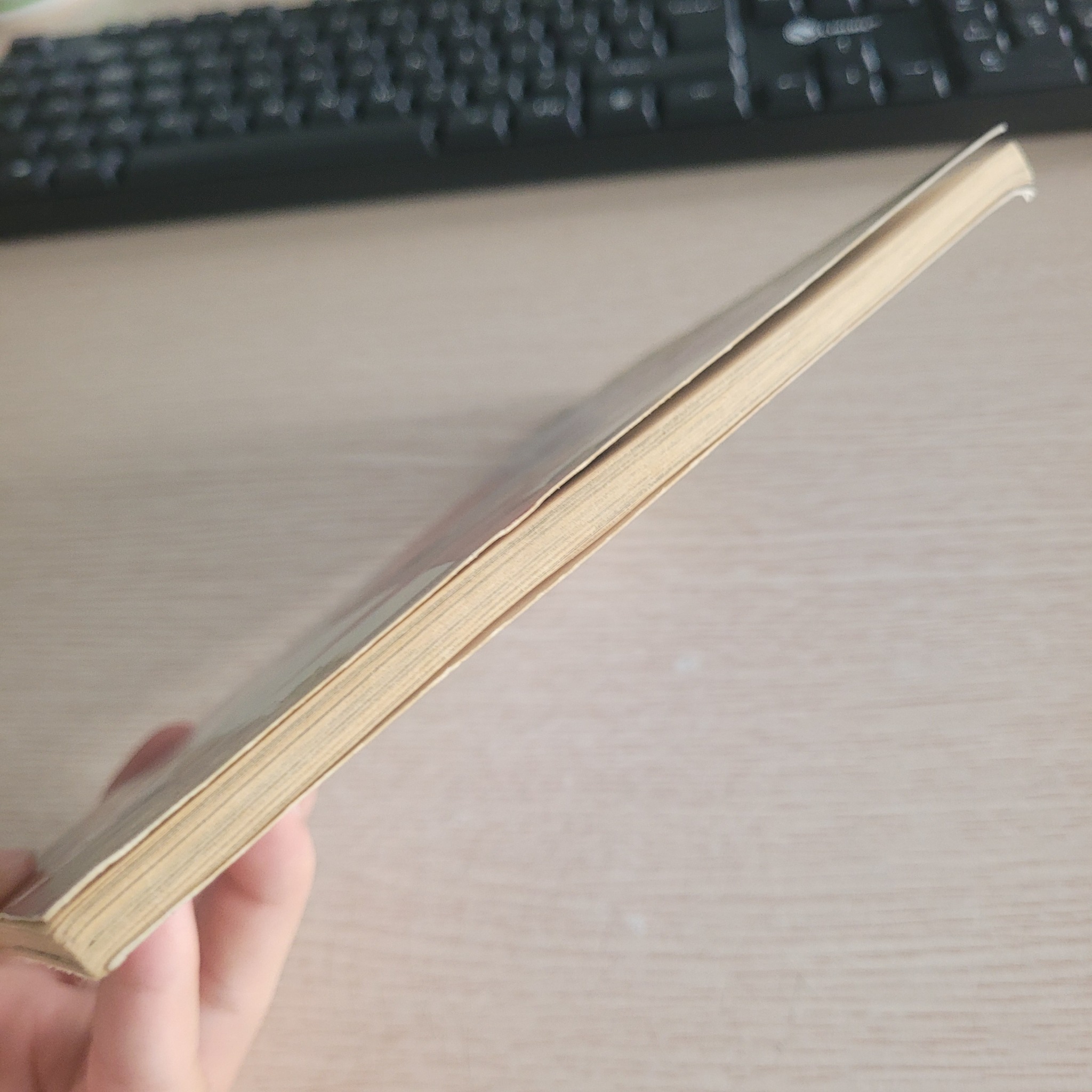 Dinosaurs Before Dark (Magic Tree House #1) Mary Pope Osborne