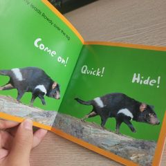 Rowdy Devil's Hide & Seek (Steve Parish KIDS)   Steve Parish - ảnh 4