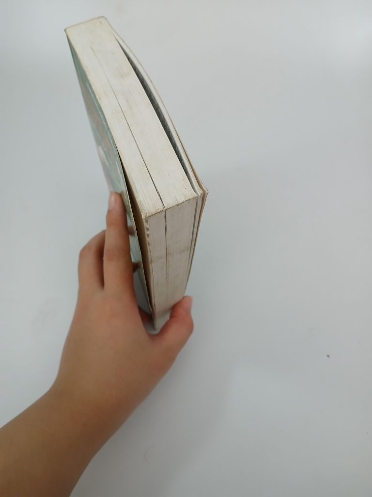555 Món ăn Việt Nam - Ảnh thực tế 8