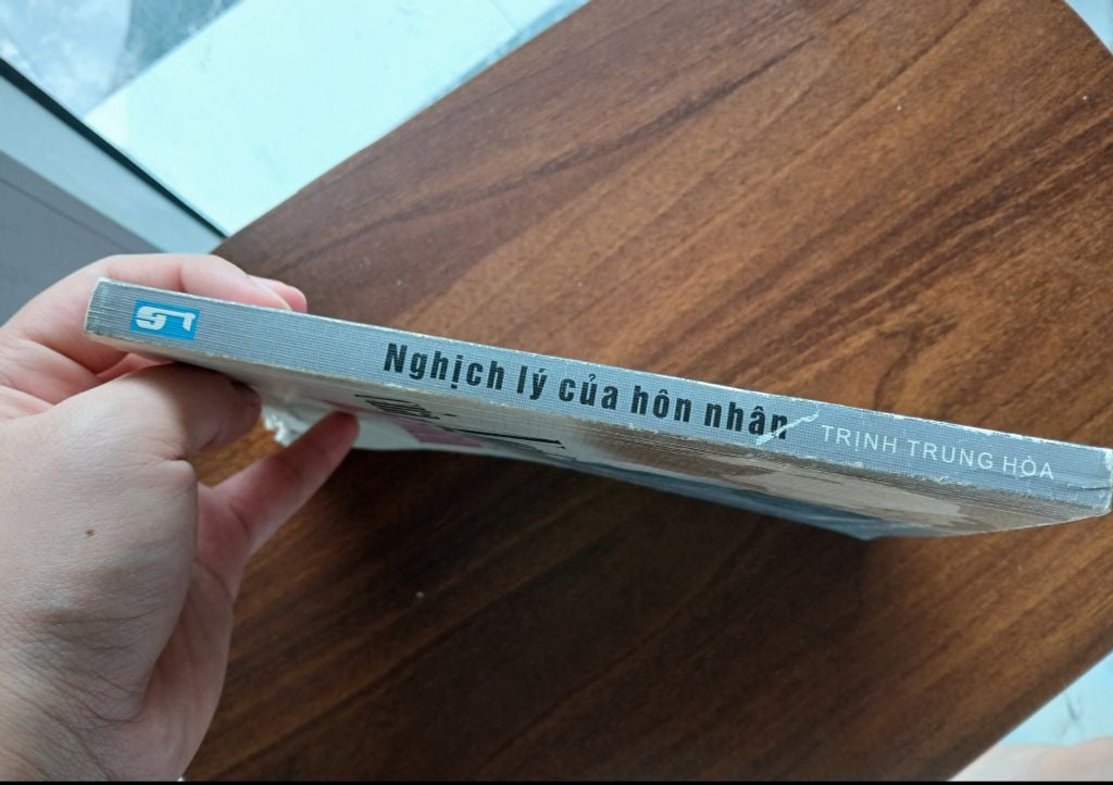 Nghịch lý của hôn nhân - Trịnh Trung Hòa - Ảnh thực tế 8