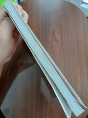 Người Phụ Nữ Quyến Rũ - Trịnh Huệ Nhật - ảnh 3