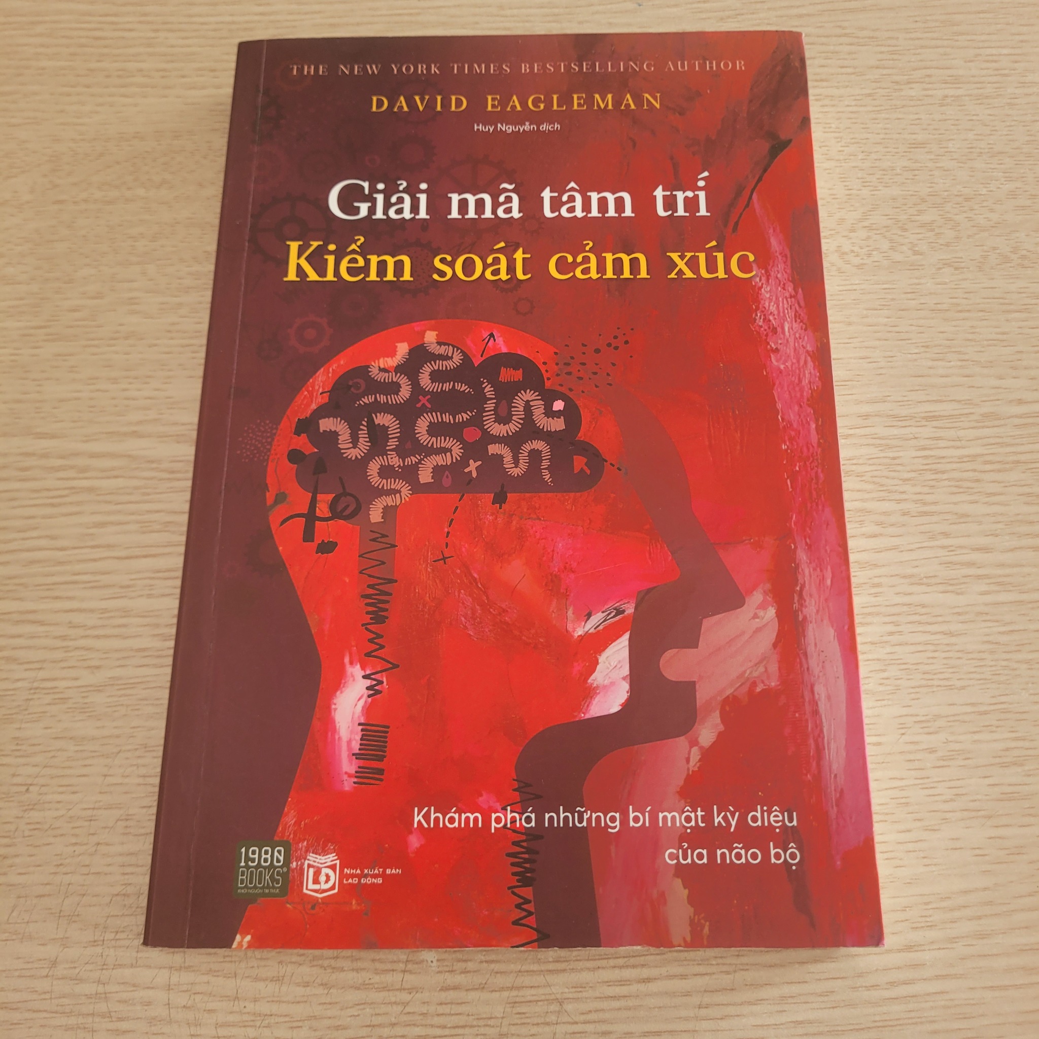 Giải mã tâm trí kiểm soát cảm xúc - David Eagleman