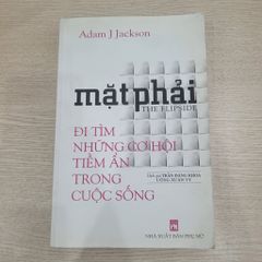 Mặt Phải (The Flipside) - Adam J. Jackson - ảnh 1