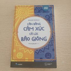 Cân Bằng Cảm Xúc Cả Lúc Bão Giông - ảnh 1