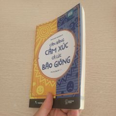 Cân Bằng Cảm Xúc Cả Lúc Bão Giông - ảnh 4