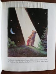 Tinker and Tom and the Star Baby - David McPhail - ảnh 5