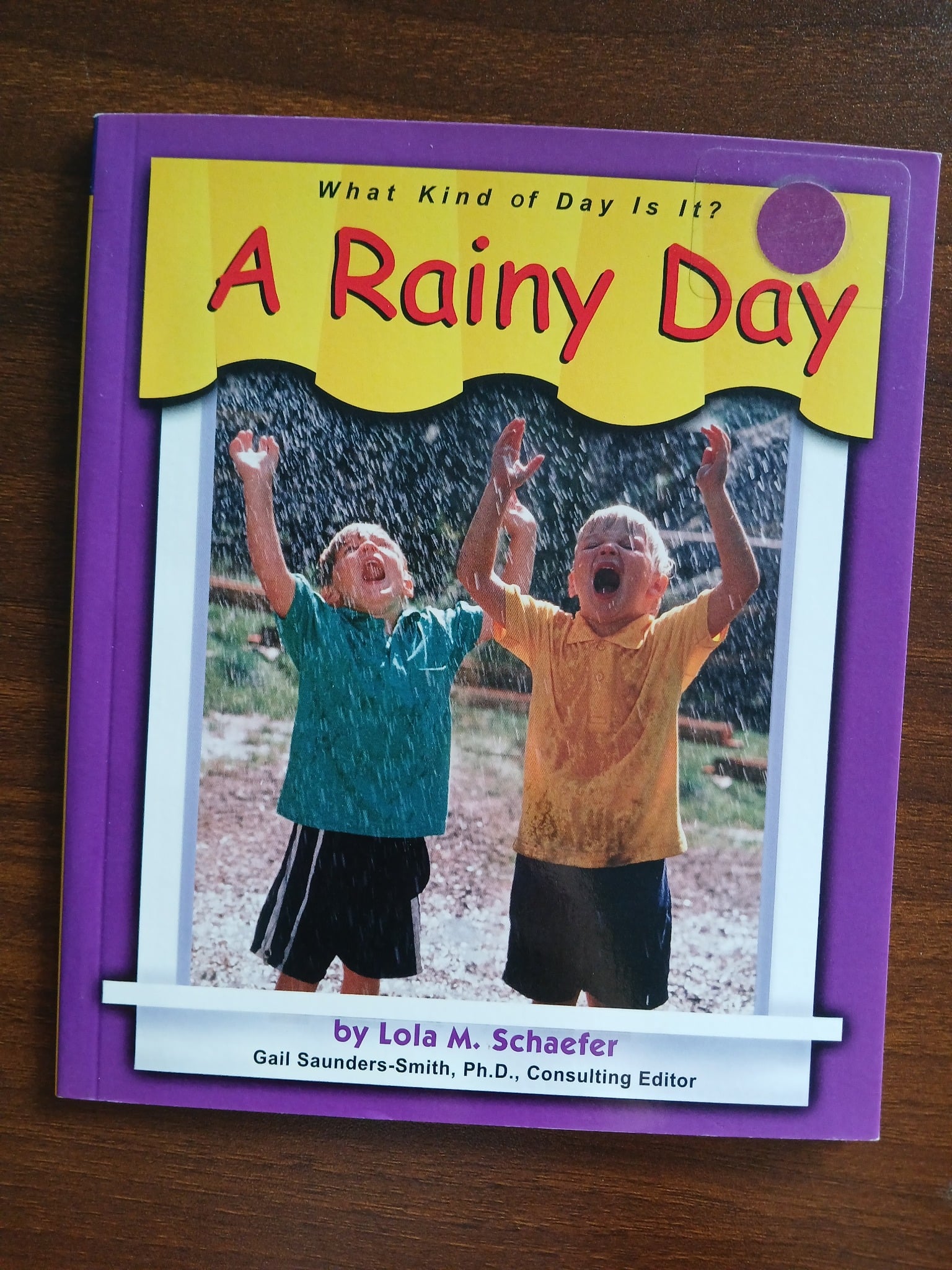 A Rainy Day (What Kind of Day Is It?) - Lola M. Schaefer