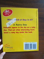 A Rainy Day (What Kind of Day Is It?) - Lola M. Schaefer - ảnh 2