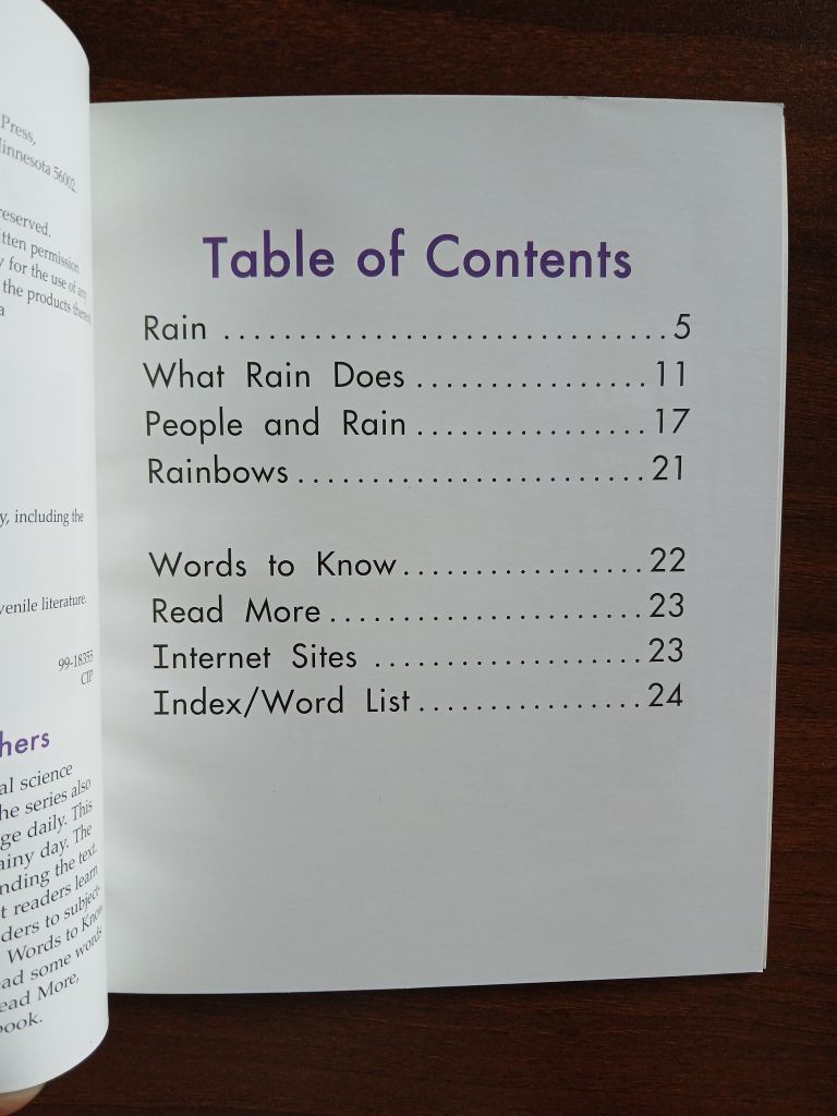 A Rainy Day (What Kind of Day Is It?) - Lola M. Schaefer - Ảnh thực tế 4