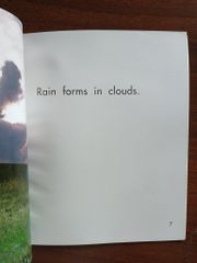 A Rainy Day (What Kind of Day Is It?) - Lola M. Schaefer - ảnh 5