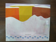 The Snowy Day - Ezra Jack Keats - ảnh 2