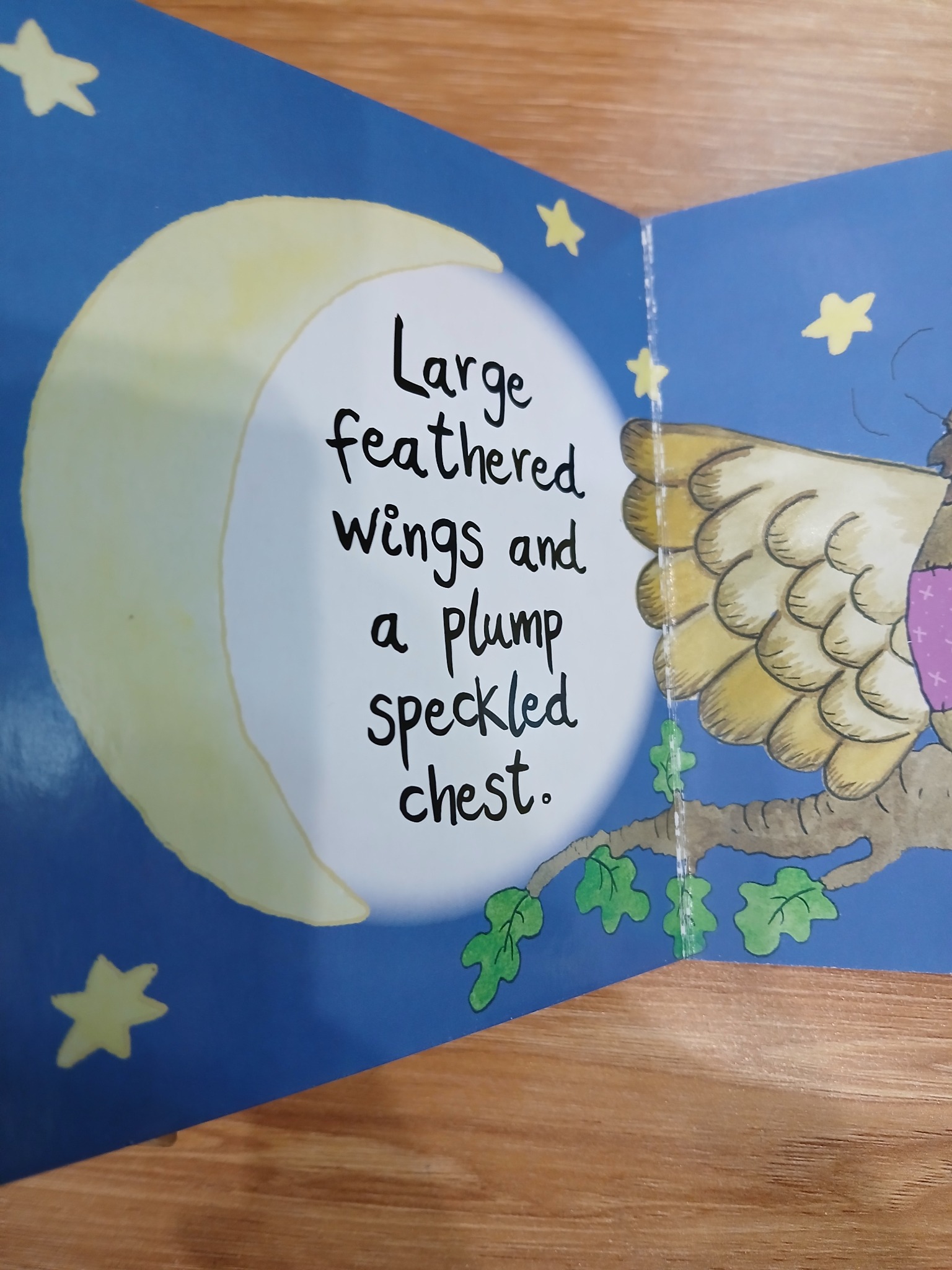 Ollie the Owl Tác giả: Jo Joof