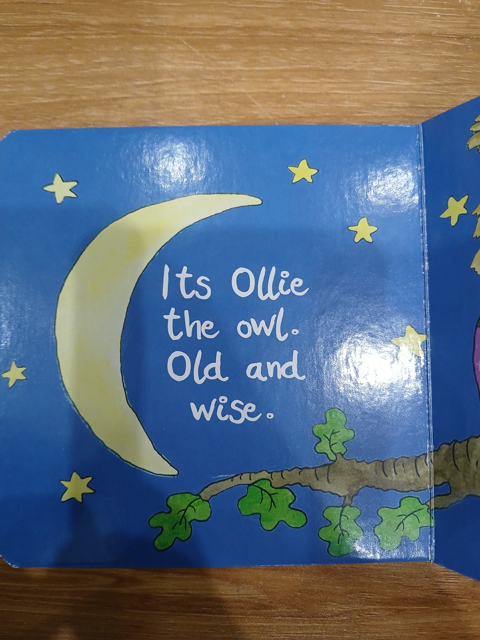 Ollie the Owl Tác giả: Jo Joof