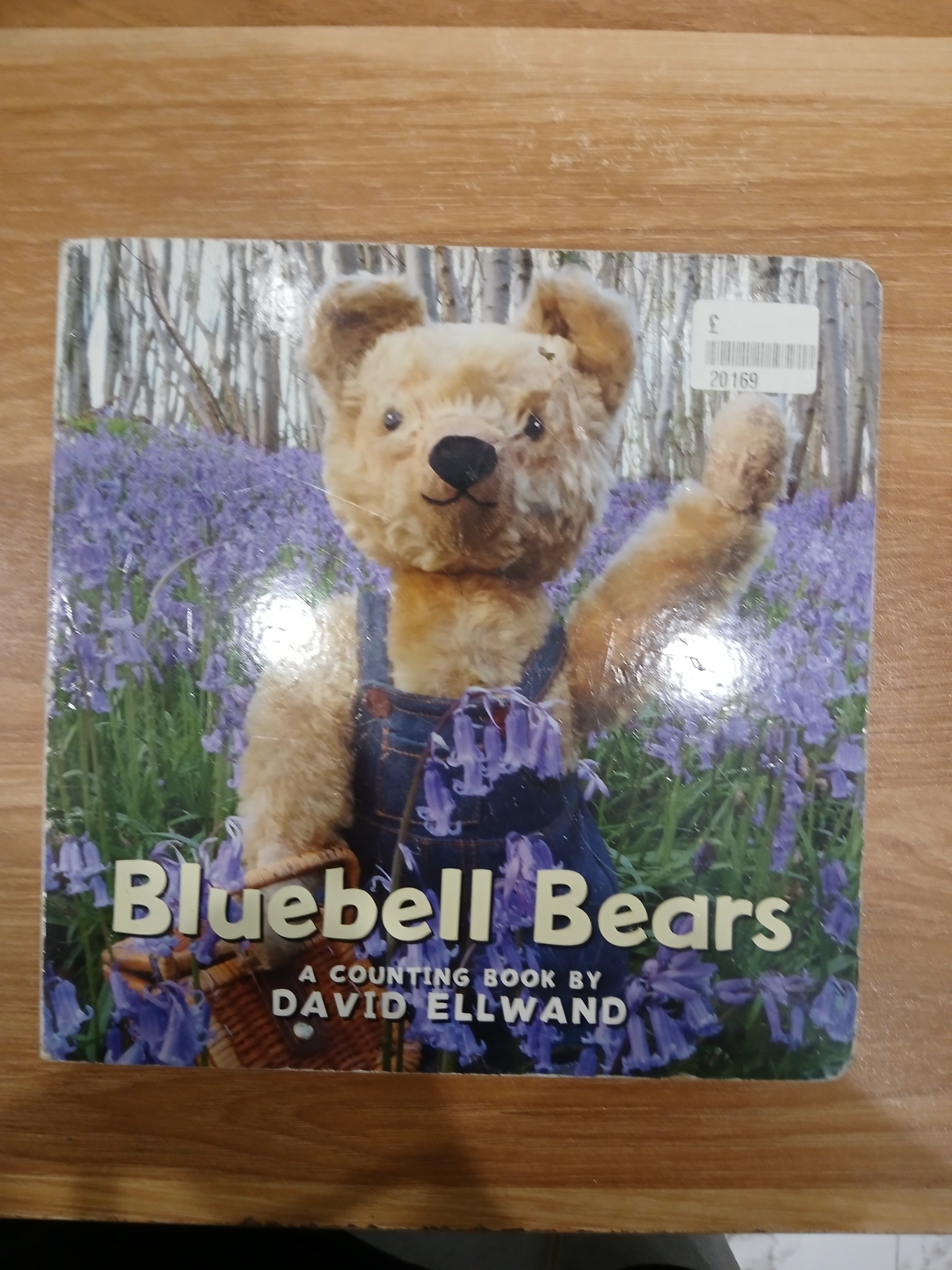 Bluebell Bears - David Ellwand