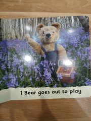 Bluebell Bears - David Ellwand - ảnh 5