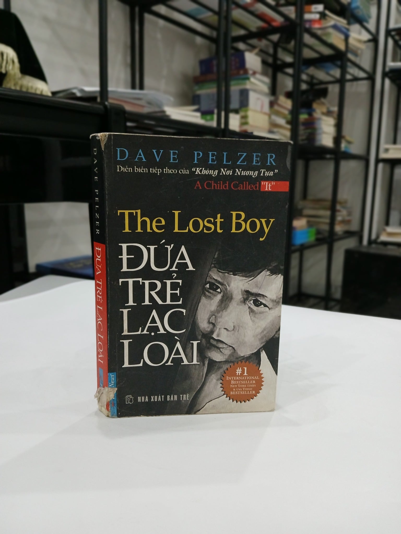 Đứa Trẻ Lạc Loài - Dave Pelzer