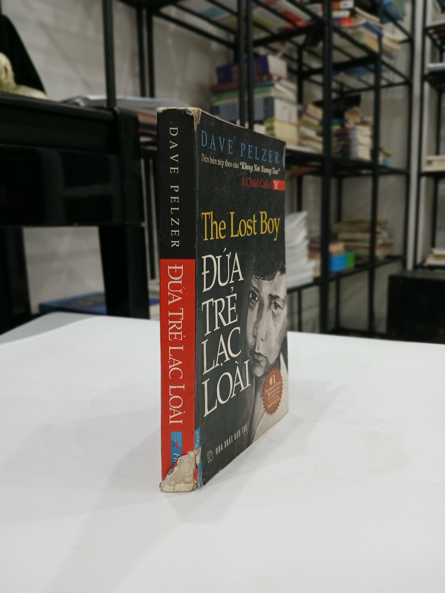 Đứa Trẻ Lạc Loài - Dave Pelzer