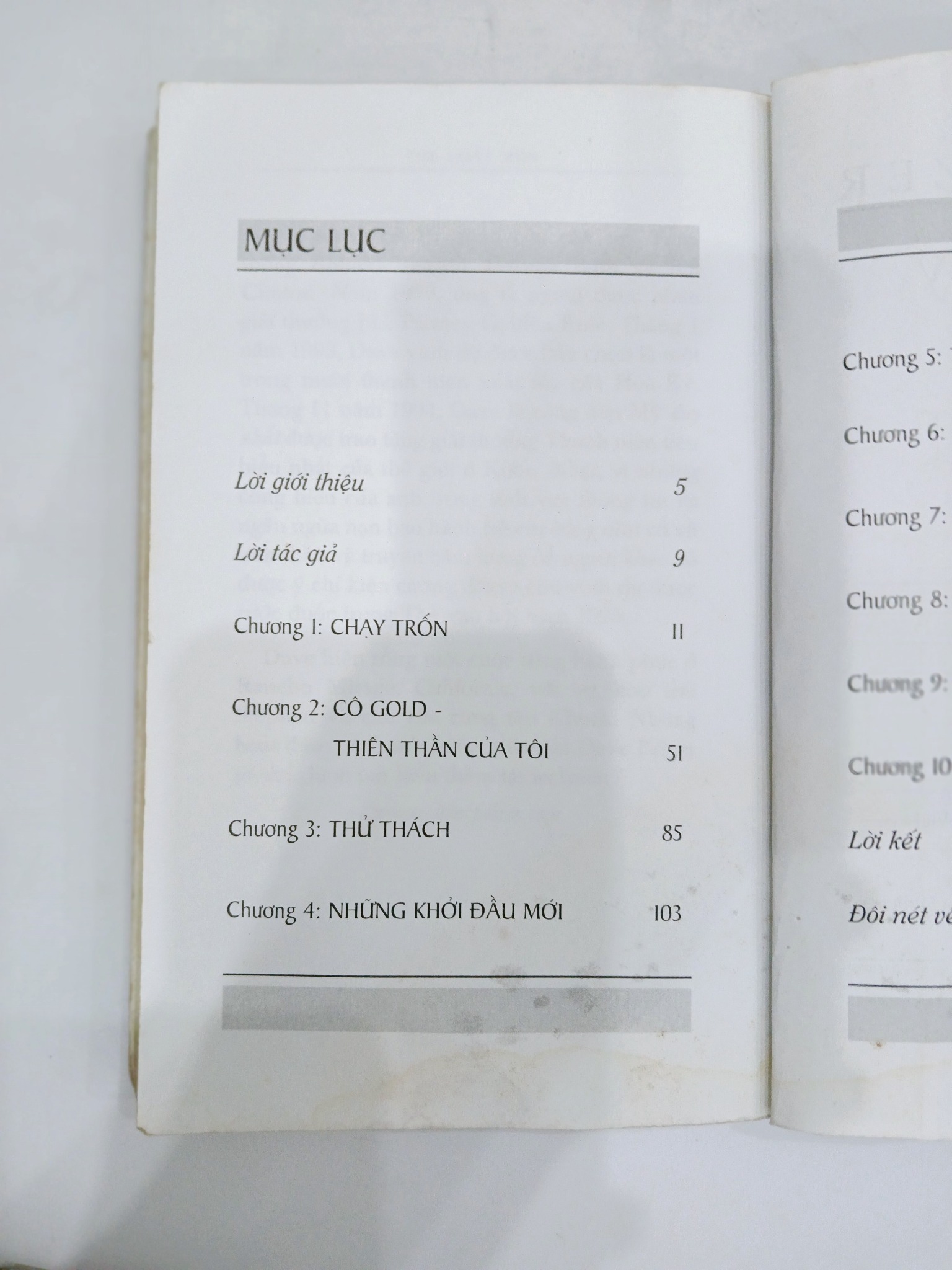 Đứa Trẻ Lạc Loài - Dave Pelzer