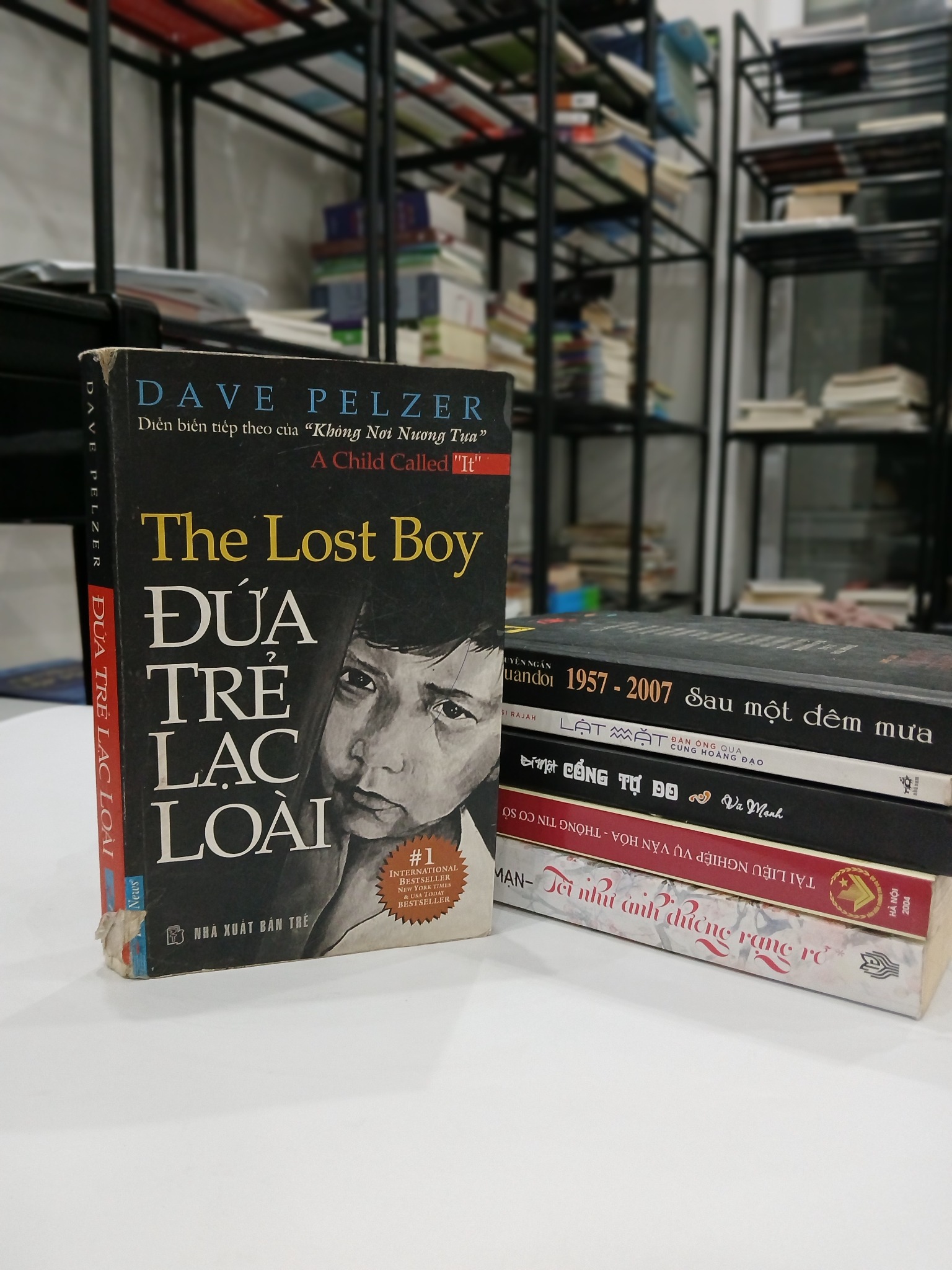 Đứa Trẻ Lạc Loài - Dave Pelzer