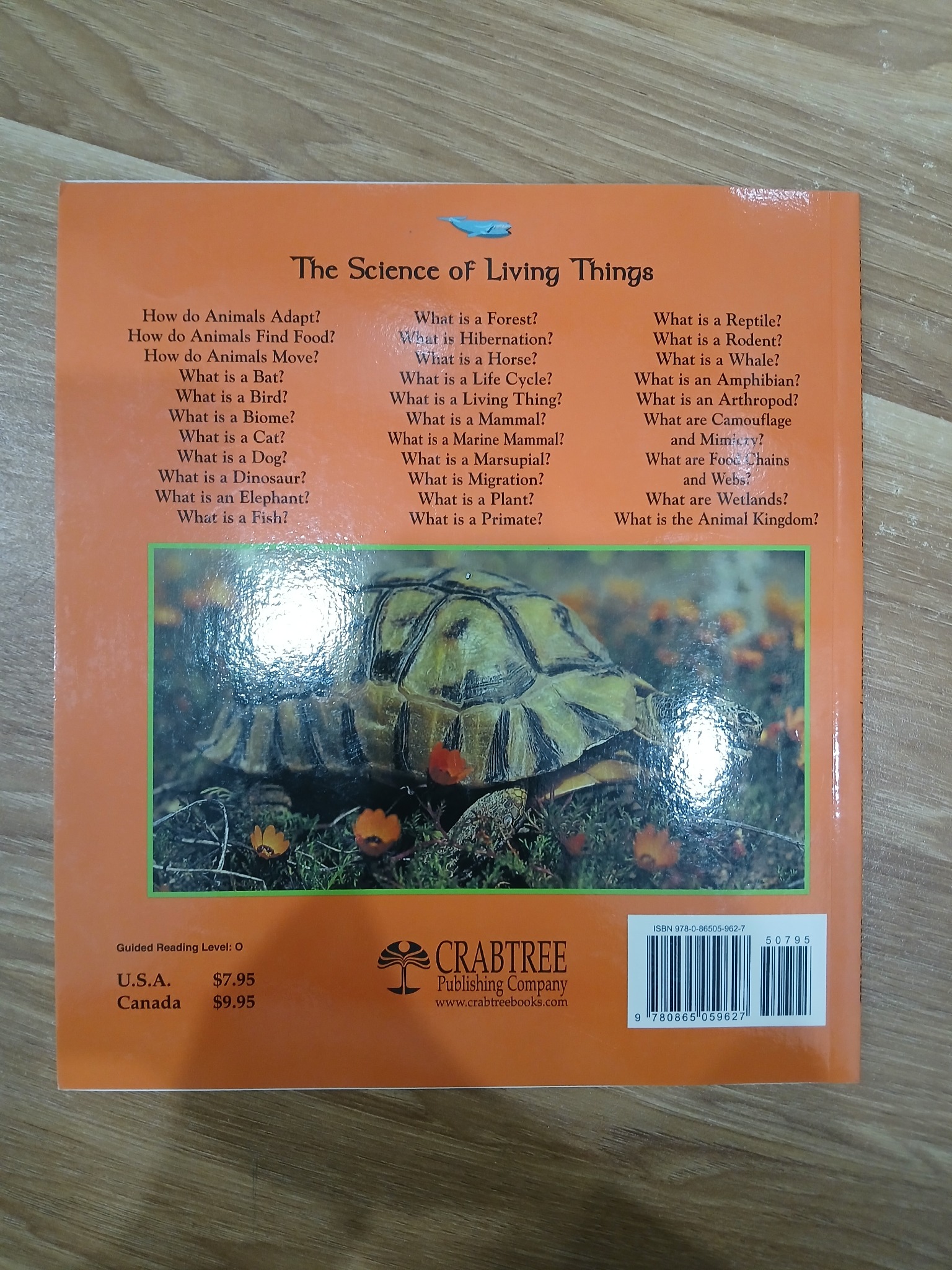 What are Camouflage and Mimicry? - Bobbie Kalman