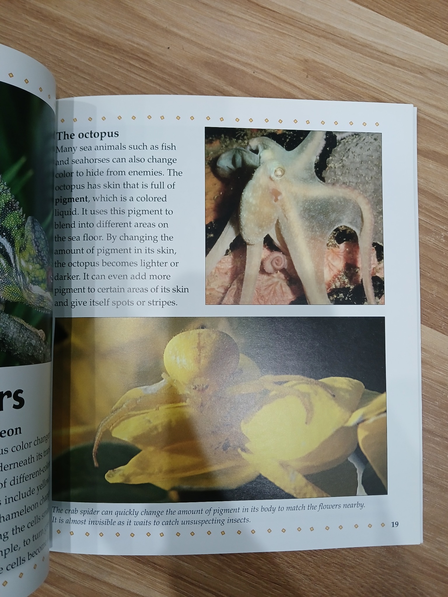 What are Camouflage and Mimicry? - Bobbie Kalman