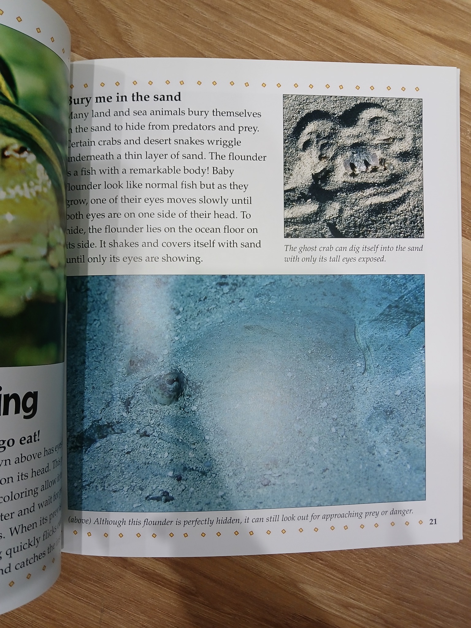 What are Camouflage and Mimicry? - Bobbie Kalman