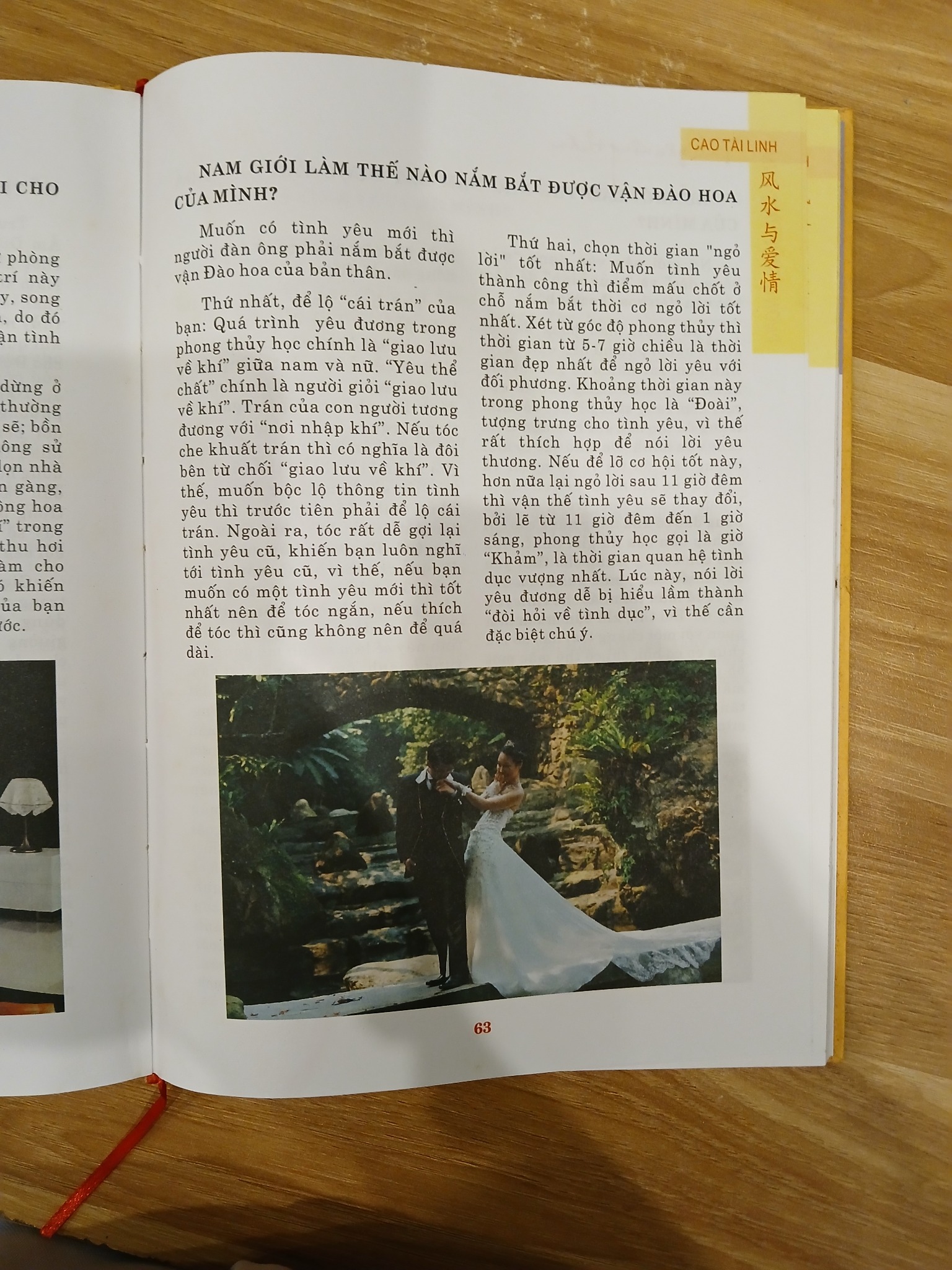 Phong Thủy Ứng Dụng: Tình Yêu Nồng Thắm - Cao Tài Linh