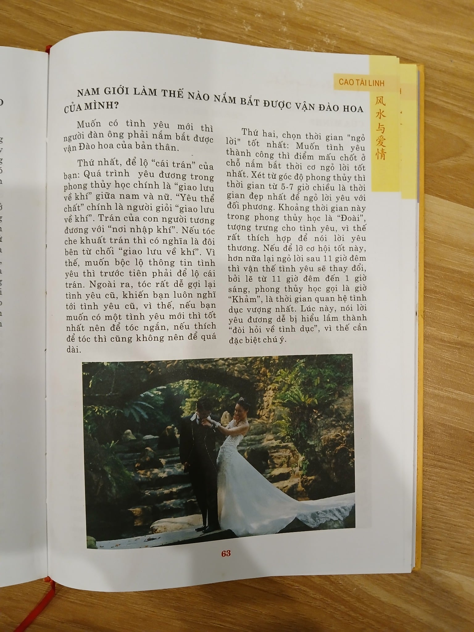 Phong Thủy Ứng Dụng: Tình Yêu Nồng Thắm - Cao Tài Linh