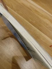 Một Số Phong Tục Nghi Lễ Dân Gian Truyền Thống Việt Nam - Quảng Tuệ - ảnh 4