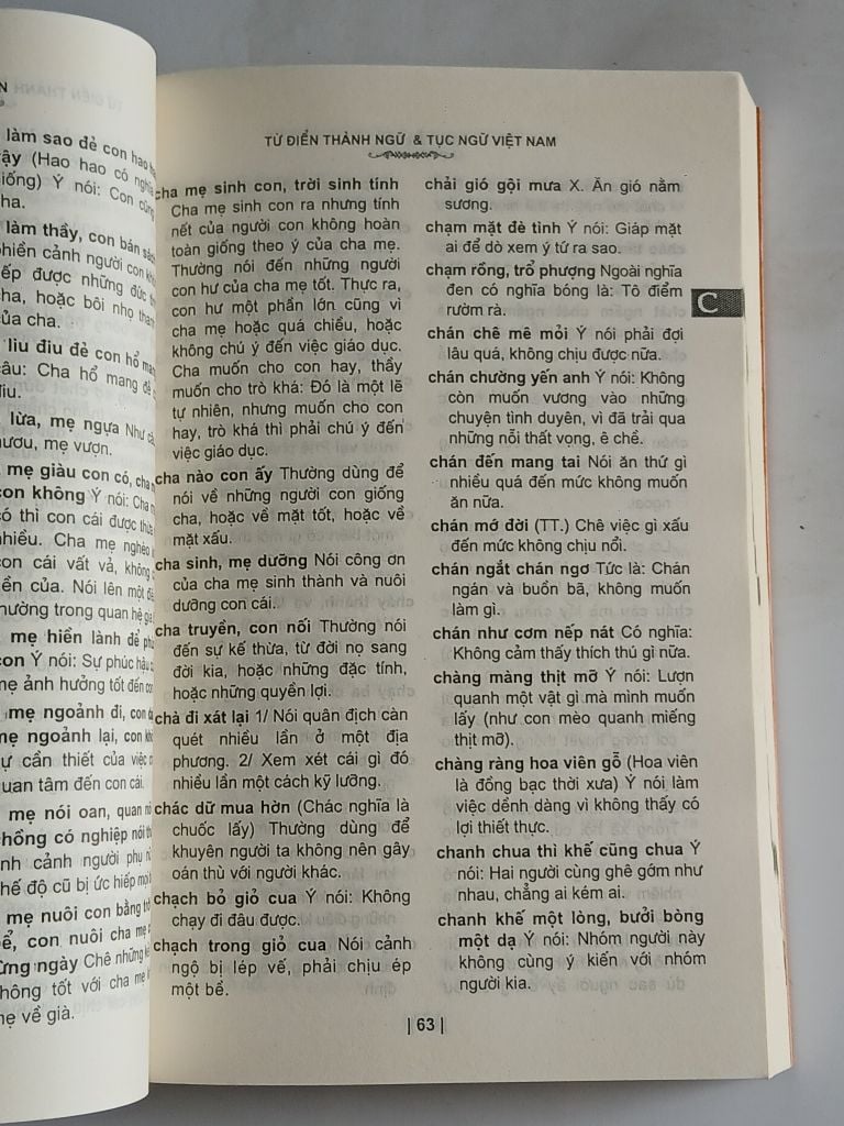 Từ Điển Thành Ngữ & Tục Ngữ Việt Nam - Nguyễn Lân - Ảnh thực tế 6