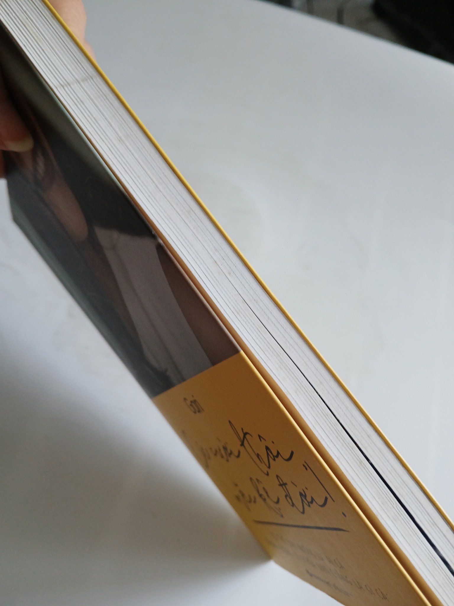 Cứ cười thôi, mặc kệ đời! - Gari