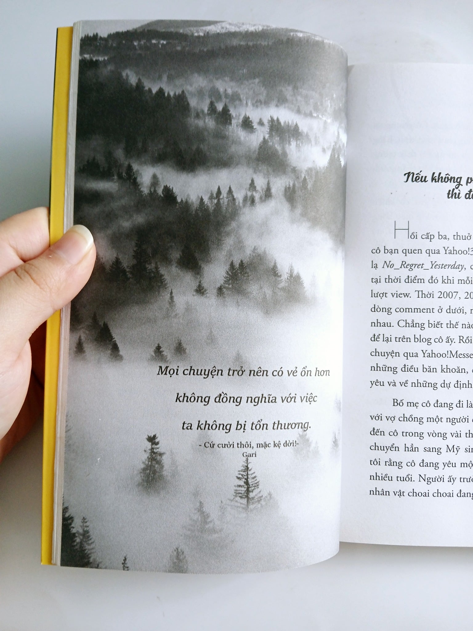 Cứ cười thôi, mặc kệ đời! - Gari