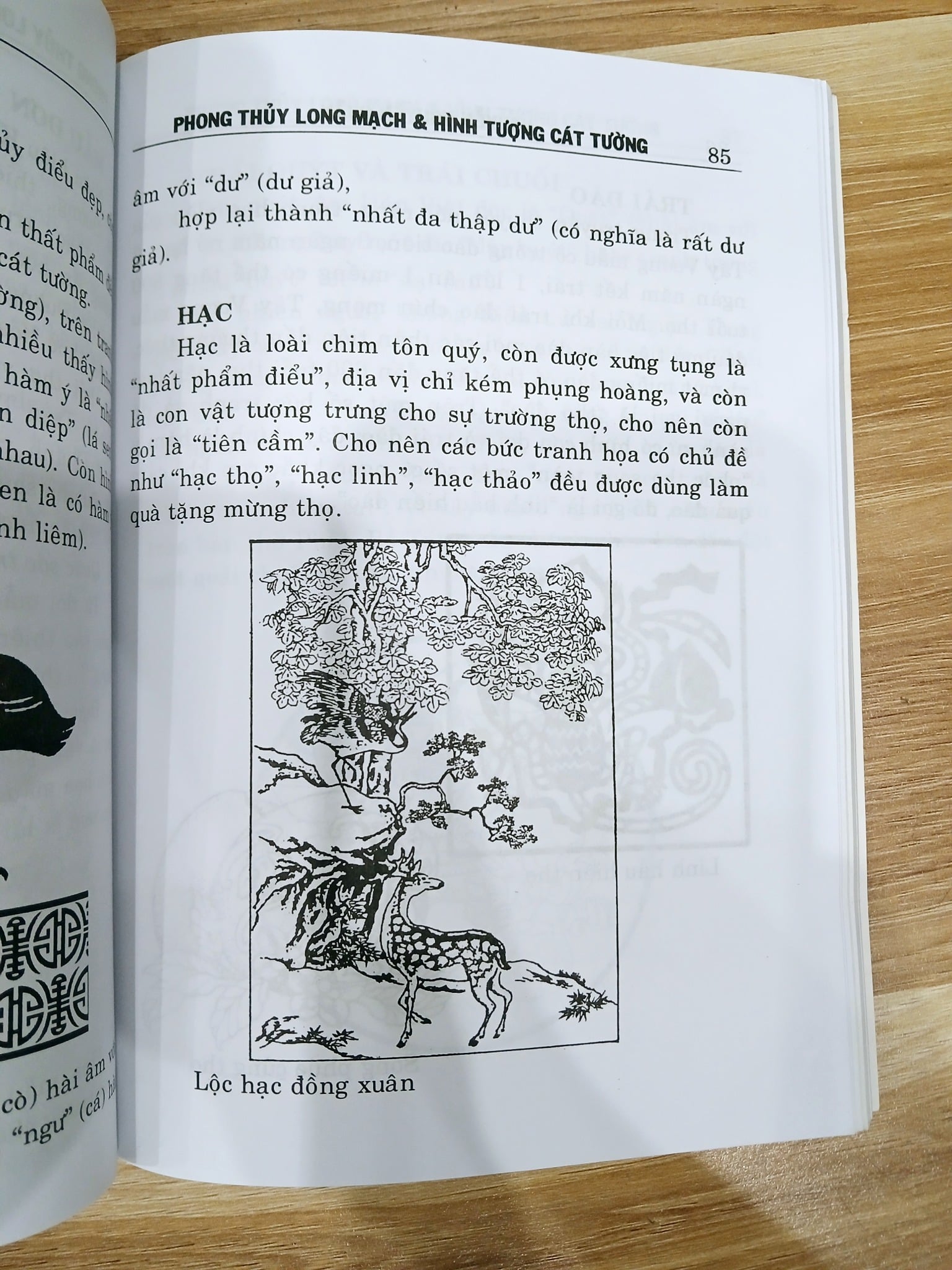 Phong Thủy Long Mạch & Hình Tượng Cát Tường