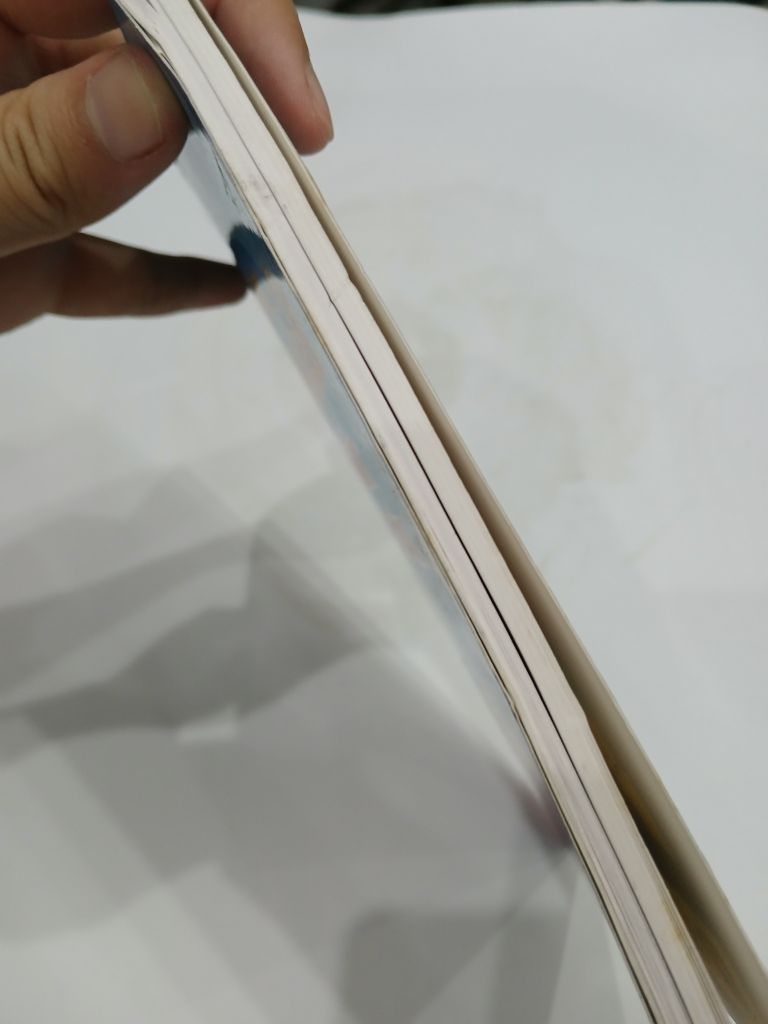 Những Câu Hỏi Lạ Nhất Quả Đất - Hồng Quân - Ảnh thực tế 5