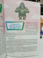 Tại Sao Và Như Thế Nào - ảnh 4