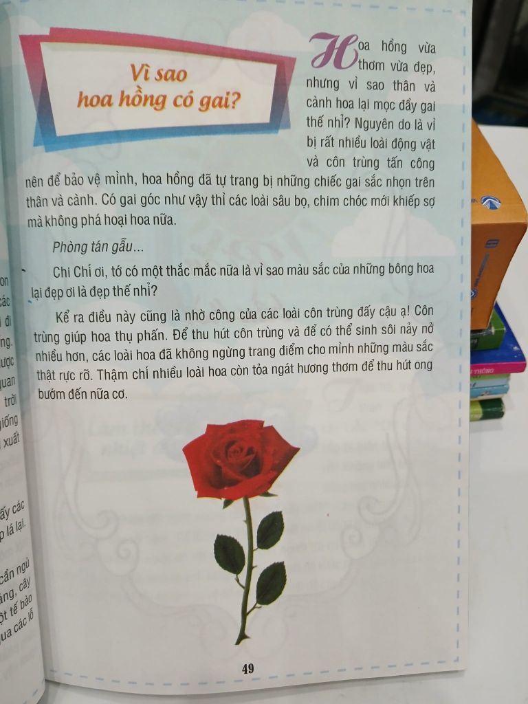 Tại Sao Và Như Thế Nào - Ảnh thực tế 5