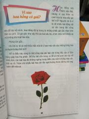 Tại Sao Và Như Thế Nào - ảnh 5