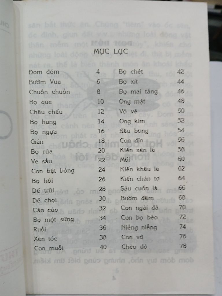 Côn Trùng – Chuyện Kể Khoa Học Cho Học Sinh Tiểu Học - Nhiều Tác Giả - Ảnh thực tế 6