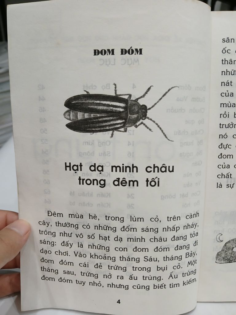 Côn Trùng – Chuyện Kể Khoa Học Cho Học Sinh Tiểu Học - Nhiều Tác Giả - Ảnh thực tế 7