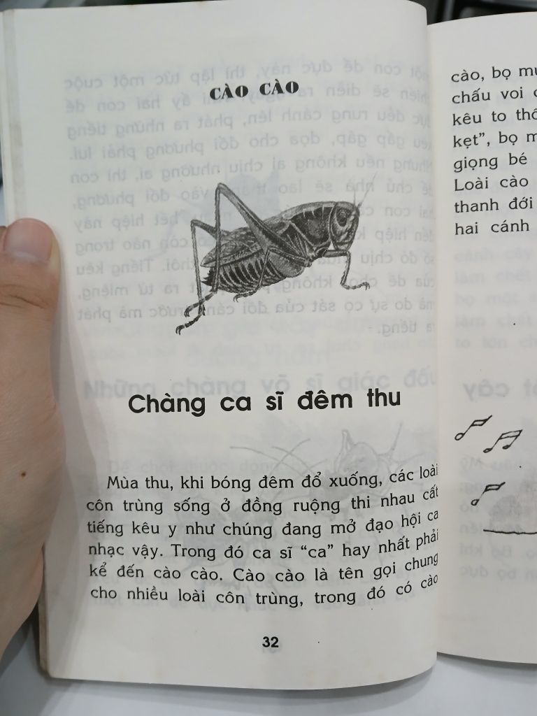 Côn Trùng – Chuyện Kể Khoa Học Cho Học Sinh Tiểu Học - Nhiều Tác Giả - Ảnh thực tế 9