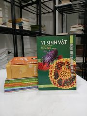 Vi Sinh Vật - ảnh 1