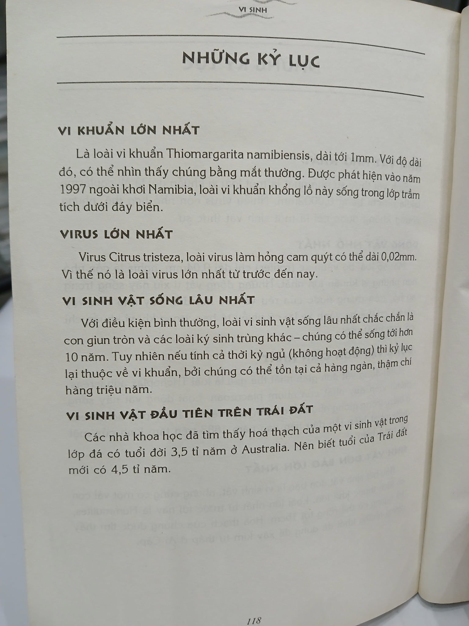 Vi Sinh Vật