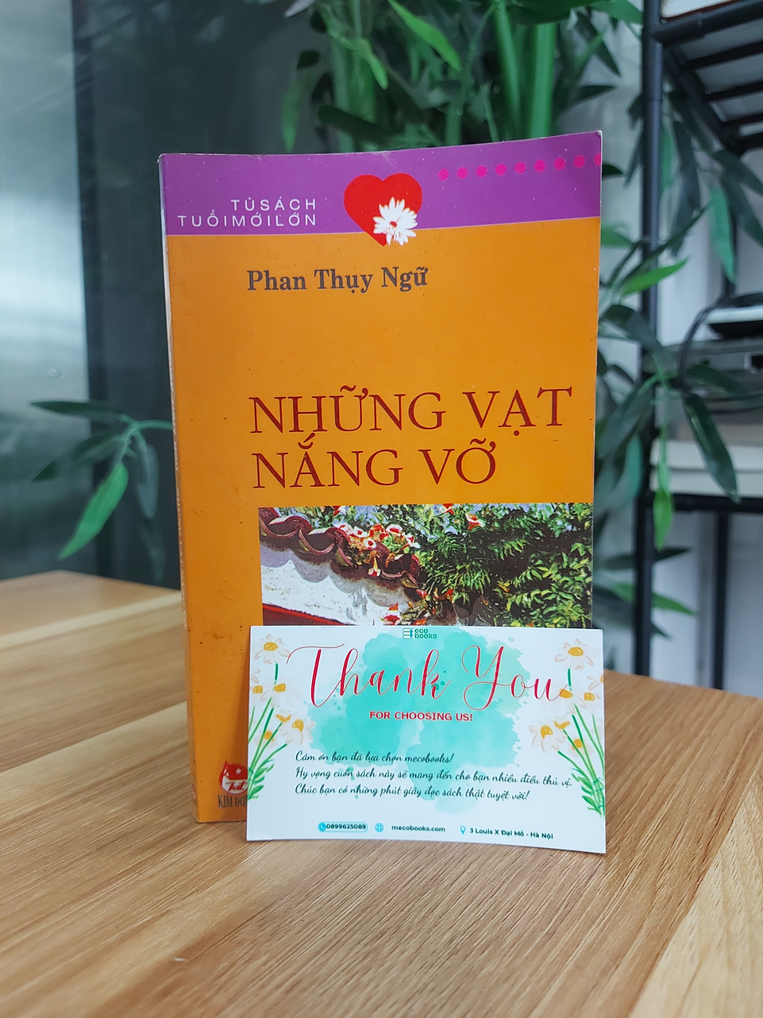 Những vạt nắng vỡ