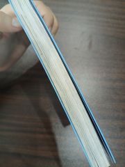 Sisu – Vượt qua tất cả - ảnh 4