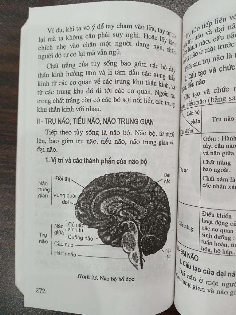 Sổ tay kiến thức Sinh học – THCS - Nguyễn Thế Giang - Ảnh thực tế 10