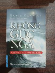 Không gục ngã - ảnh 1