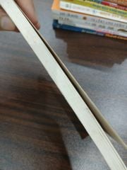 Bức tường đá kinh hoàng - ảnh 4